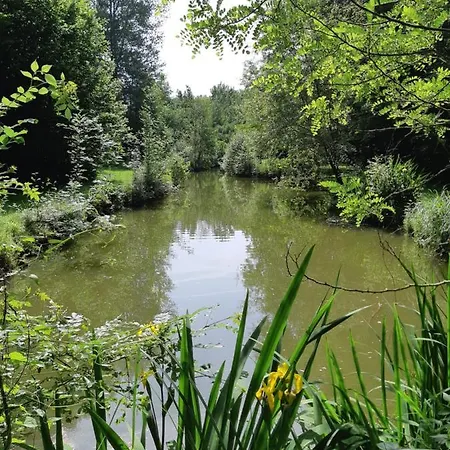 Avec Plan D'eau Privatif * Les Hayes