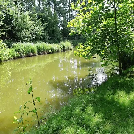Avec Plan D'eau Privatif *