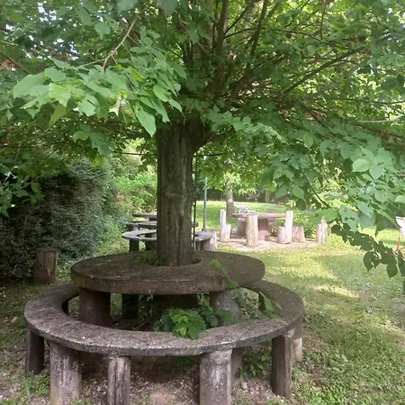 Avec Plan D'eau Privatif Holiday home Les Hayes
